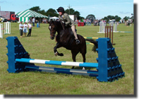 Show Jumping