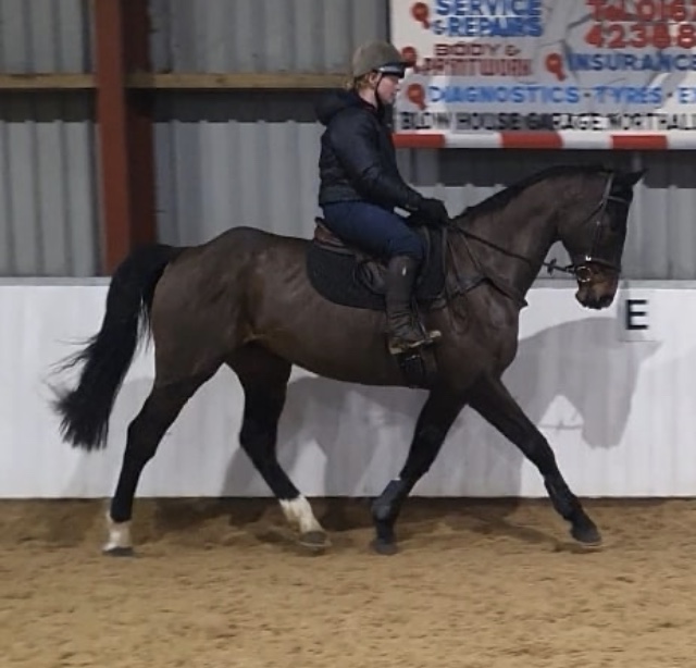 Northallerton Equestrian Centre, Yafforth, Northallerton, North