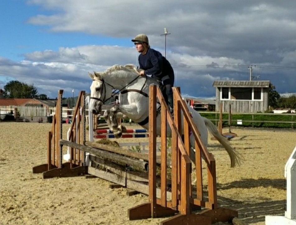 Northallerton Equestrian Centre, Yafforth, Northallerton, North Yorkshire. Horses for Sale.
