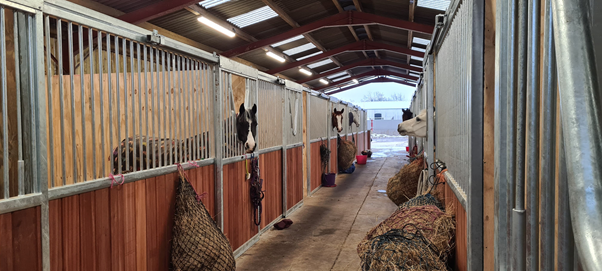 Livery Stables