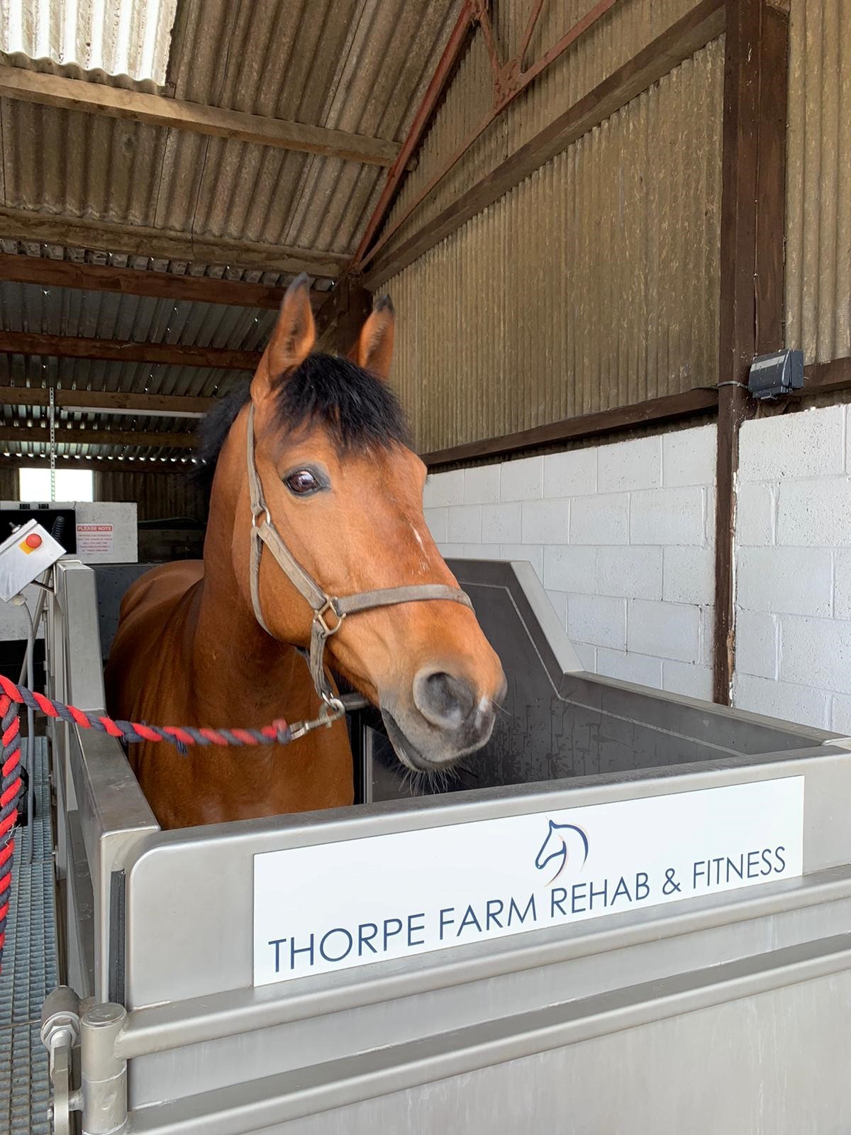 Thorpe Farm Rehad & Fitness